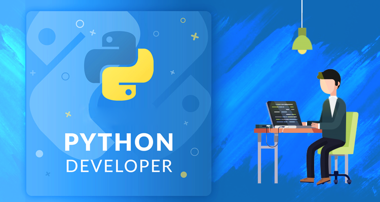 python website